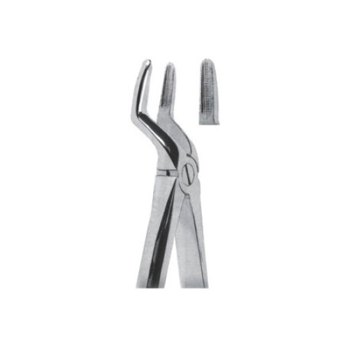 Tooth Extracting Forceps